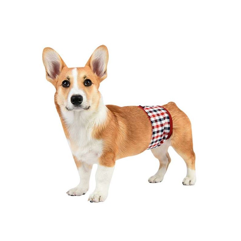 Bandeau anti-pipi - All4yourpets